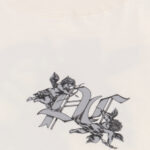 Camiseta Plano c Divine - Imagem 7